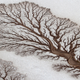 Illustration for article titled Can you guess the subject of this photograph?